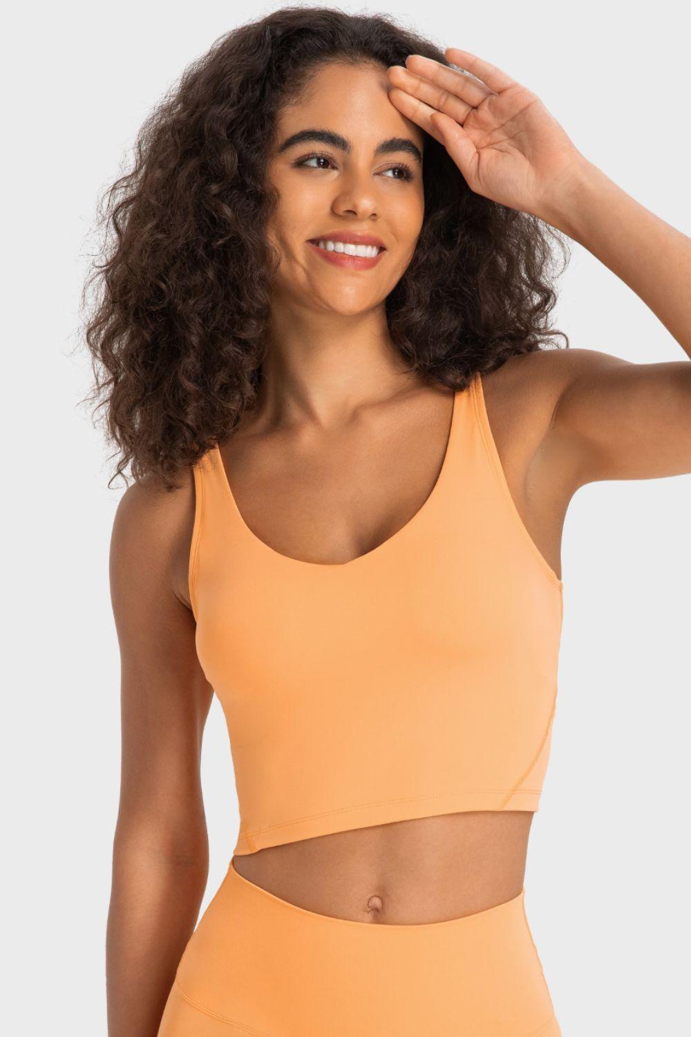 Deep V-Neck Crop Sports Bra – Sleek, Supportive & Stylish - Znvia