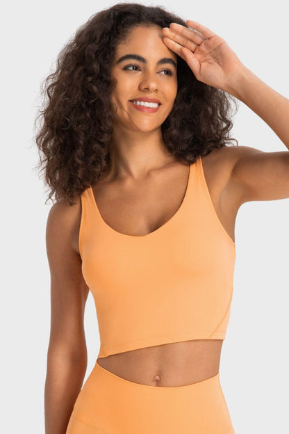 Deep V-Neck Crop Sports Bra – Sleek, Supportive & Stylish - Znvia